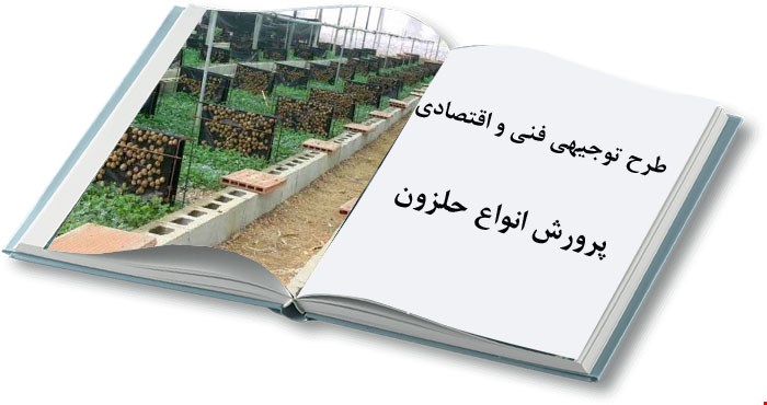 پرورش انواع حلزون
