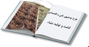 کشت و تولید نشاء