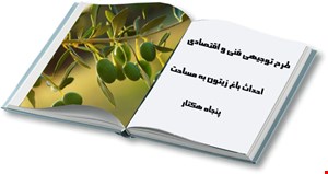 احداث باغ زیتون