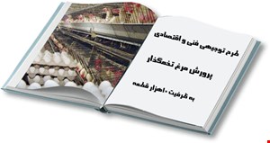 پرورش مرغ تخمگذار صنعتی در قفس