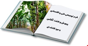 پرورش و کشت موز و آناناس گلخانه ای