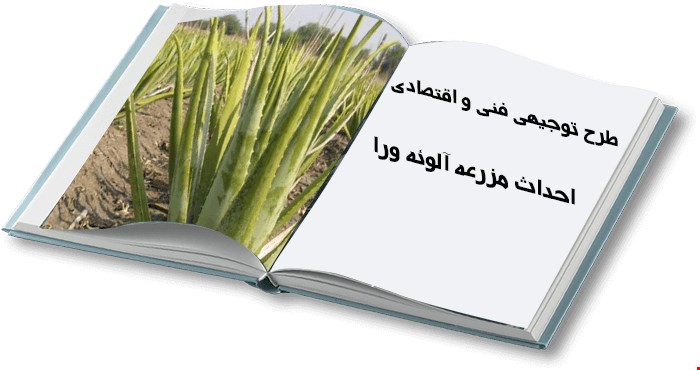 احداث مزرعه آلوئه ورا به مساحت 5000 مترمربع
