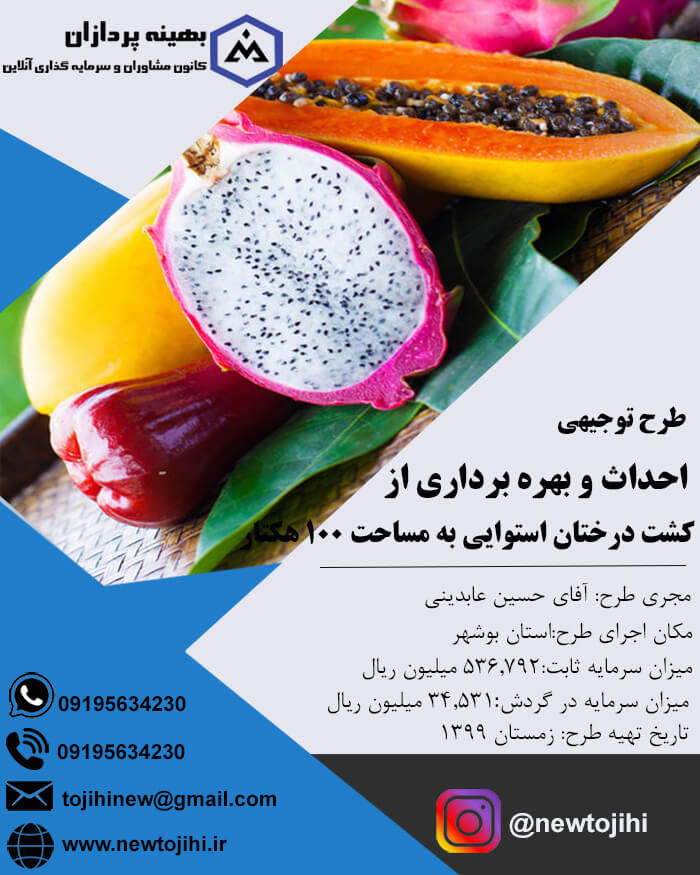 احداث و بهره برداری از کشت درختان استوایی به مساحت 100 هکتار