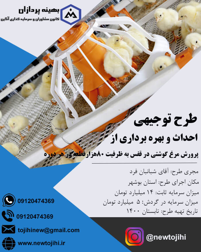 احداث و بهره برداری از واحد پرورش مرغ گوشتی در قفس