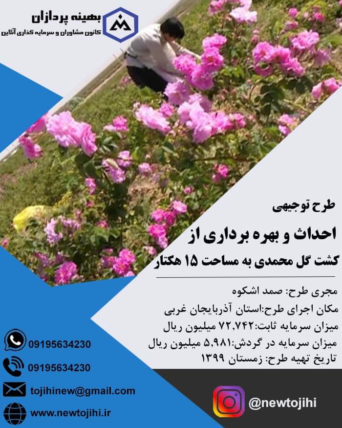 احداث و بهره برداری از کشت گل محمدی به مساحت 15 هکتار