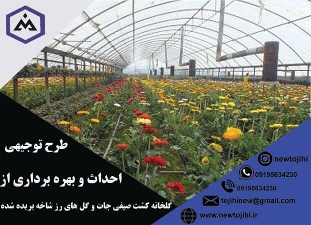 احداث و بهره برداری از گلخانه صیفی جات و گل های رز شاخه بریده شده