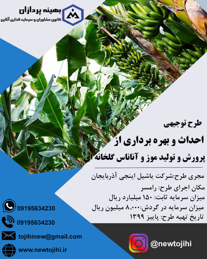 احداث و بهره برداری از پرورش موز و آناناس گلخانه ای